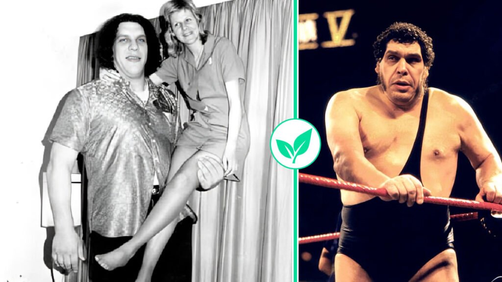 Who Is Jean Christensen? Exclusive Look at André the Giant’s Partner