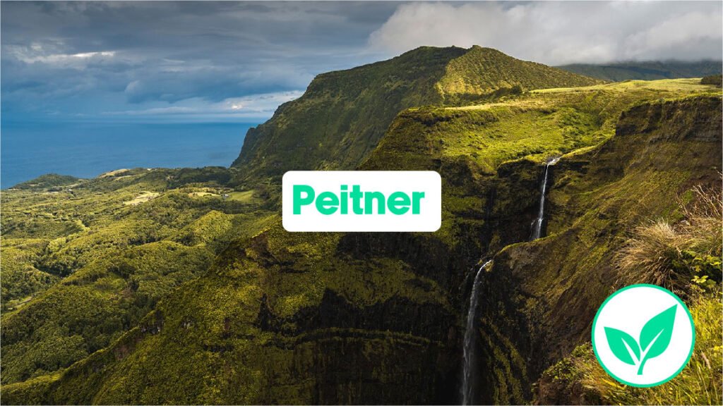Peitner Explained: Meaning, Facts & More