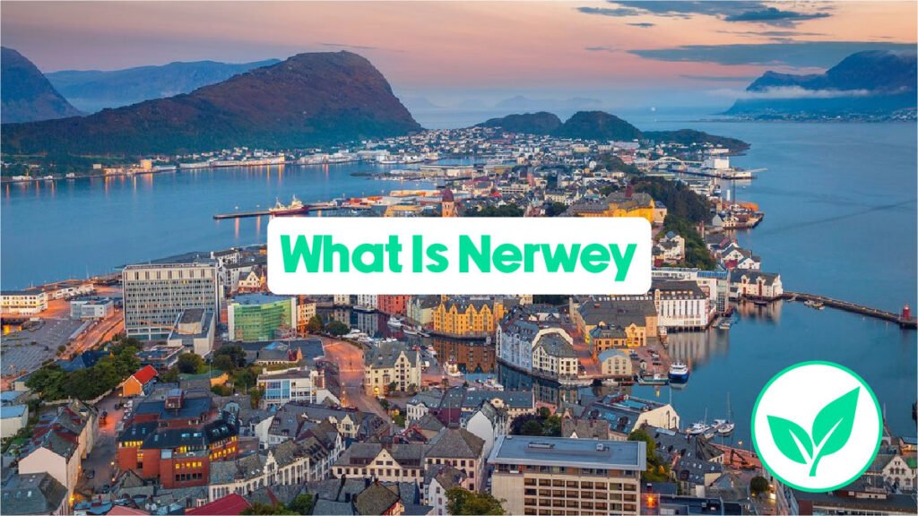 What Is Nerwey? Meaning, Website & Everything to Know What Is Nerwey? Meaning, Website & Everything to Know